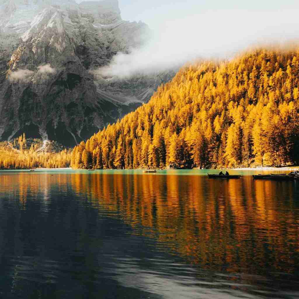 آهنگ جدید  گیس فرفریگم چاو قشنگگم